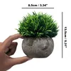 Belle Vous Mini Künstliche Pflanzen im Topf (2er Pack) Produktbild-Vorschau 9