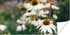 MuchoWow® Poster Blumen - Herbst - Botanisch 40x20 cm - Produktbild-Vorschau 1