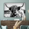 OneMillionCanvasses® - Plátno - Skotský horal - Příroda - Náhled obrázku produktu 4