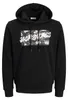 JACK & JONES Herren Hoodie JJHawaii Shape Sweat Hood Produktbild-Vorschau 1