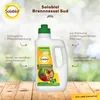 Solabiol® Bennnessel Sud für schädlingsanfällige Pflanzen 1 Produktbild-Vorschau 5