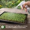 Samenshop24®  Keimsprossen "Brokkoli" Anzucht-SET,  Saat + Produktbild-Vorschau 4