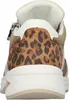 Chaussures à lacets pour femmes Waldläufer, beige, taille Voir les images du produit 2