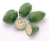 Ananasguave (Feijoa sellowiana)  - 20 Samen Produktbild-Vorschau 3
