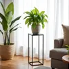 FRAMADO, Pflanzenständer Ferro, Metallregal, Blumenständer, Produktbild-Vorschau 9