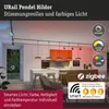 Paulmann URail LED Lampada a sospensione Hildor Anteprima dell’immagine prodotto 3