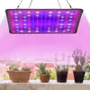Vollspektrum 256 LEDs Pflanzenlampe, 30W Vollspektrum Produktbild-Vorschau 3