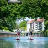 Jobe SENA SUP 11.0 - Set da surf SUP - Tavola da stand up Anteprima dell’immagine prodotto 7