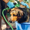 Gartenschlauch Wasserschlauch Flexibel Dehnbarer Wasser Produktbild-Vorschau 12