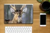 MuchoWow® Laptop Aufkleber Sticker Cover Hirschgeweih Braun Produktbild-Vorschau 2