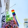 2 Packungen Amerikanische US Flagge Windsack Bunten Produktbild-Vorschau 4