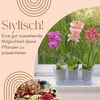 2er Set Orchideentopf Transparent Orchideen Übertopf Produktbild-Vorschau 3