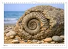 Verrückt nach Fossilien (Wandkalender 2027 DIN A4 quer), Produktbild-Vorschau 7