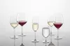 SCHOTT ZWIESEL Weißweinglas-Set 4-tlg For You Produktbild-Vorschau 11