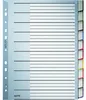 Leitz Register 43700000 blanko DIN A4 10teilig PP grau Produktbild-Vorschau 1