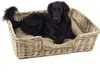 Kobolo Hundekorb 90x72x23 cm stabiles Rattan geflochten Produktbild-Vorschau 2
