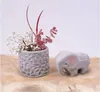 Jovi Self-Hardening Modelling Clay Glina samoutwardzalna Podgląd zdjęcia produktu 7