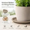 Pflanztopfuntersetzer Mira Taupe Ø 29cm - Frostsicher & Produktbild-Vorschau 5