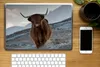 MuchoWow® Laptop Aufkleber Sticker Cover Schottischer Produktbild-Vorschau 2
