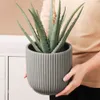 A person is holding a potted aloe vera plant in a gray ribbed planter. Produktbild-Vorschau
