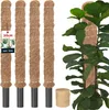 KOTARBAU® Sada 4 ks mechových tyčí pro monstery ⌀ 3,2 x 50 Náhled obrázku produktu 1