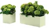 Pflanzkübel Kebe 100 x 40 cm oasi Greener, mit Rollen und Produktbild-Vorschau 6