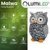LUMILED Solar Eule LED Gartenfigur Dekorative Solarleuchte Produktbild-Vorschau 4