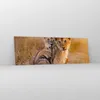 Bilder auf glas - Löwe Natur Tier - 90x30cm - Glasbilder - Produktbild-Vorschau 4