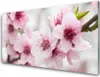 Acrylglasbilder 100x50 Wandbild Druck Blumen Pflanzen Produktbild-Vorschau 1