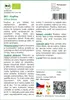 SAFLAX - BIO - Kopřiva - Urtica dioica - 2000 Semena Náhled obrázku produktu 3