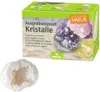 MOSES Expedition Natur Ausgrabungsset Kristalle Produktbild-Vorschau 15