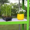 Polytunnel mit Folie und Regale Gewächshaus Treibhaus Produktbild-Vorschau 8