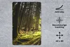 MuchoWow® Mauspad Mousepad Baum - Natur - Sonne - Wald Produktbild-Vorschau 2