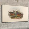 Coloray Bild aus Leinwand 100x50 Leinwand Dekoration - Produktbild-Vorschau 2
