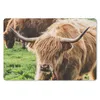 MuchoWow® Mauspad Mousepad Schottische Highlander - Tiere - Produktbild-Vorschau 1