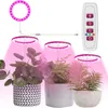 Vollspektrum LED Pflanzenlampe Dimmbar Ring Pflanzenlicht Produktbild-Vorschau 1