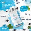Aavalabs Probiotika | 20 Stämme & 60 Mrd. KBE für Produktbild-Vorschau 2