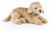 Peluche Golden Retriever 36 Cm Ecologico Anteprima dell’immagine prodotto 2