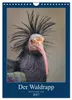 Der Waldrapp - Der etwas andere Vogel (Wandkalender 2027 Produktbild-Vorschau 1