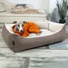 4L Textil Pelíšek pro psa nebo kocku TEO (100x80 cm, Náhled obrázku produktu 2