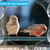 FÜTTOX Ptačí budka Krmítko pro ptáky Krmítko pro ptáky Náhled obrázku produktu 2