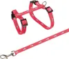 TRIXIE Geschirr mit Leine, Kaninchen  - diverse - 25–44 Produktbild-Vorschau 2