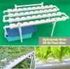 Collage of a hydroponic grow kit and plants in it. Podgląd zdjęcia produktu