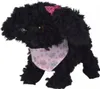 Chi Chi Love Caniche Chiot 16cm Voir les images du produit 8
