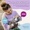 BABY born My Cat Cookie with Box, Puppen-Haustier, 3 Produktbild-Vorschau 24