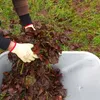 3 Paar solide Arbeitshandschuhe Gartenhandschuhe mit Produktbild-Vorschau 7