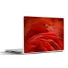 MuchoWow® Laptop Aufkleber Sticker Cover Tropisch - Vogel - Produktbild-Vorschau 1