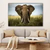MuchoWow® - Leinwandbilder - Elefant - Natur - Gras - Tiere Produktbild-Vorschau 6