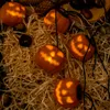 Halloween LED pohádková světla Dýně 3D, 4,5 m dýně lucerny Náhled obrázku produktu 8