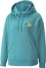 Puma Sweatshirts Swxp Graphic Hoodie TR, 53356461, Größe: Produktbild-Vorschau 1